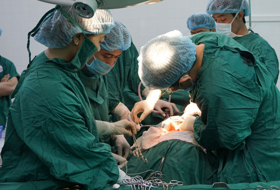 Cơ bản làm chủ quy trình ghép thận