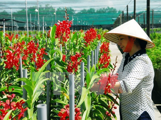 Sắp triển khai gói tín dụng 100.000 tỷ đồng nông nghiệp công nghệ cao