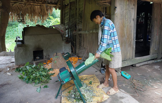 Thực hiện cơ giới hóa trong chăn nuôi