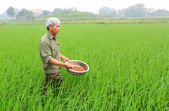 Người trưởng xóm uy tín