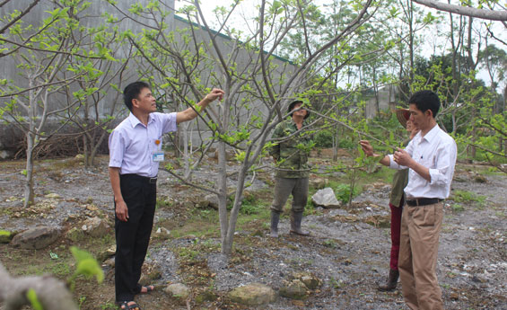 Nhìn thẳng vào thực tế để đổi mới và tinh gọn: Bài 3- Nhất thể hóa chức danh: Không phải tất cả “xuôi chèo mát mái”