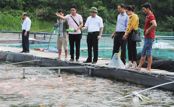 UBND Tỉnh họp phiên thứ 10 Thống nhất các giải pháp thực hiện nhiệm vụ quý II