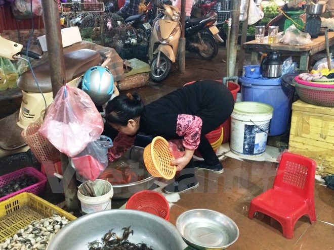 Náo nhiệt chợ ngày ông Công, ông Táo: Cá chép đỏ 
