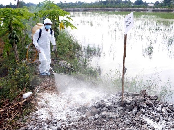 Xuất hiện thêm ổ dịch cúm gia cầm H5N1 tại tỉnh Cao Bằng