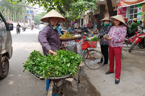 Quyết tâm lập lại trật tự đô thị thành phố