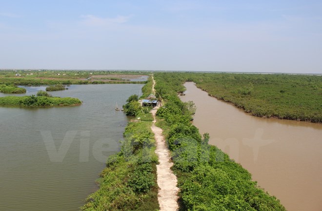 Đề xuất xây dựng Nghị định về bảo tồn 12 triệu hecta đất ngập nước
