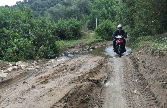 Nỗi niềm Ba Họ