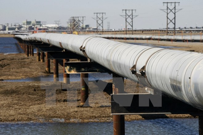 Tổng thống Donald Trump phê duyệt dự án Keystone XL với Canada