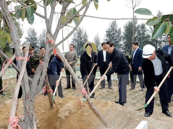 Chủ tịch nước kêu gọi nâng cao ý thức và trách nhiệm bảo vệ rừng