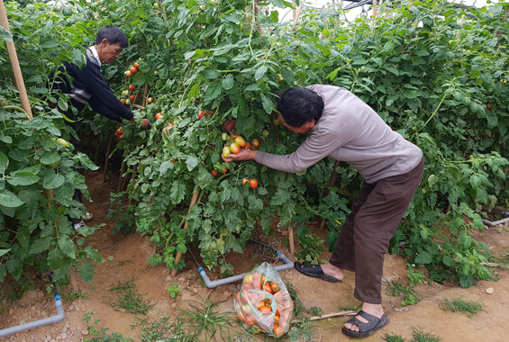 Chuyển biến ở Thịnh Đức