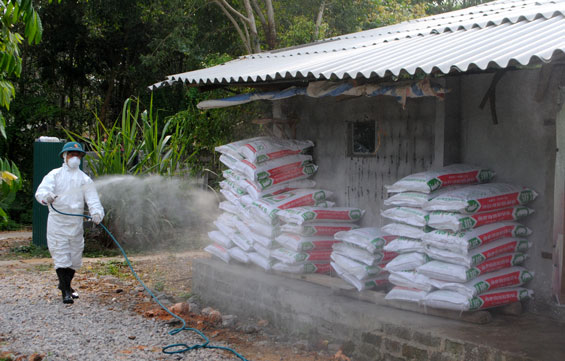 Chủ động phòng chống dịch cúm gia cầm H7N9