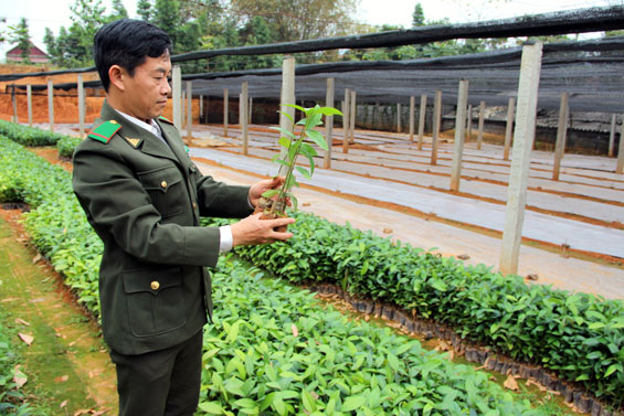 Tích cực chuẩn bị cho vụ trồng rừng
