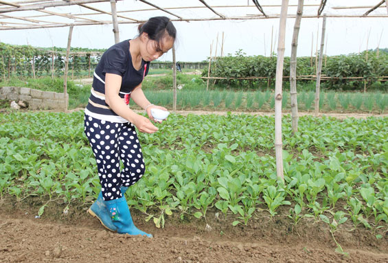 XÂY DỰNG NÔNG THÔN MỚI: Kinh nghiệm từ các xã hoàn thành chương trình