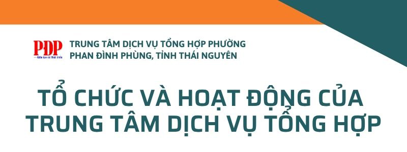 TỔ CHỨC VÀ HOẠT ĐỘNG CỦA  TRUNG TÂM DỊCH VỤ TỔNG HỢP PHƯỜNG PHAN ĐÌNH PHÙNG