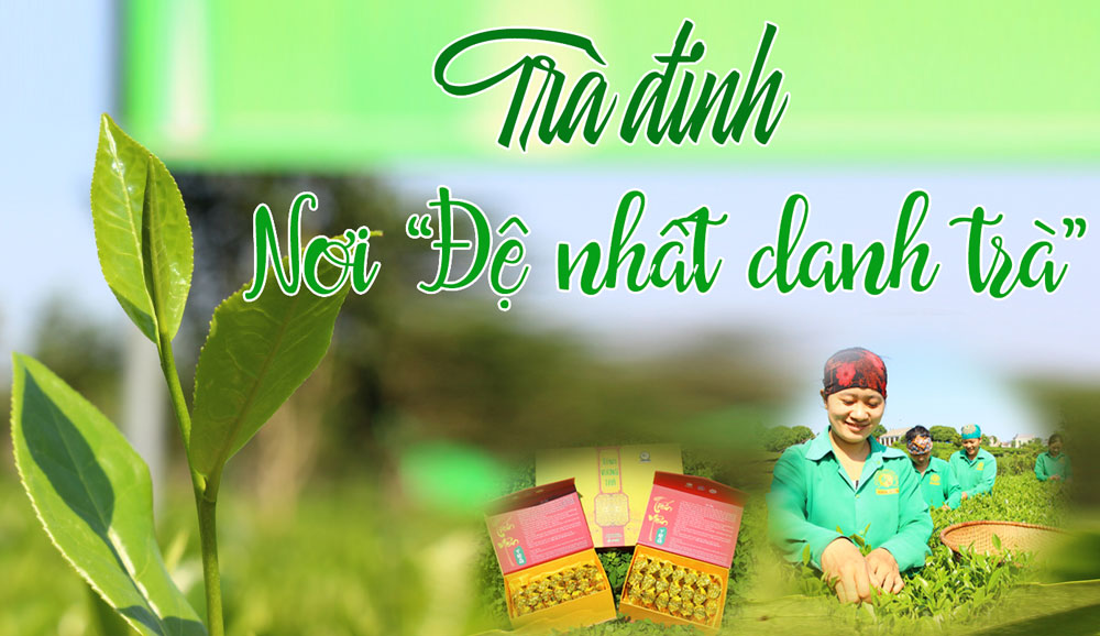 Trà đinh nơi 