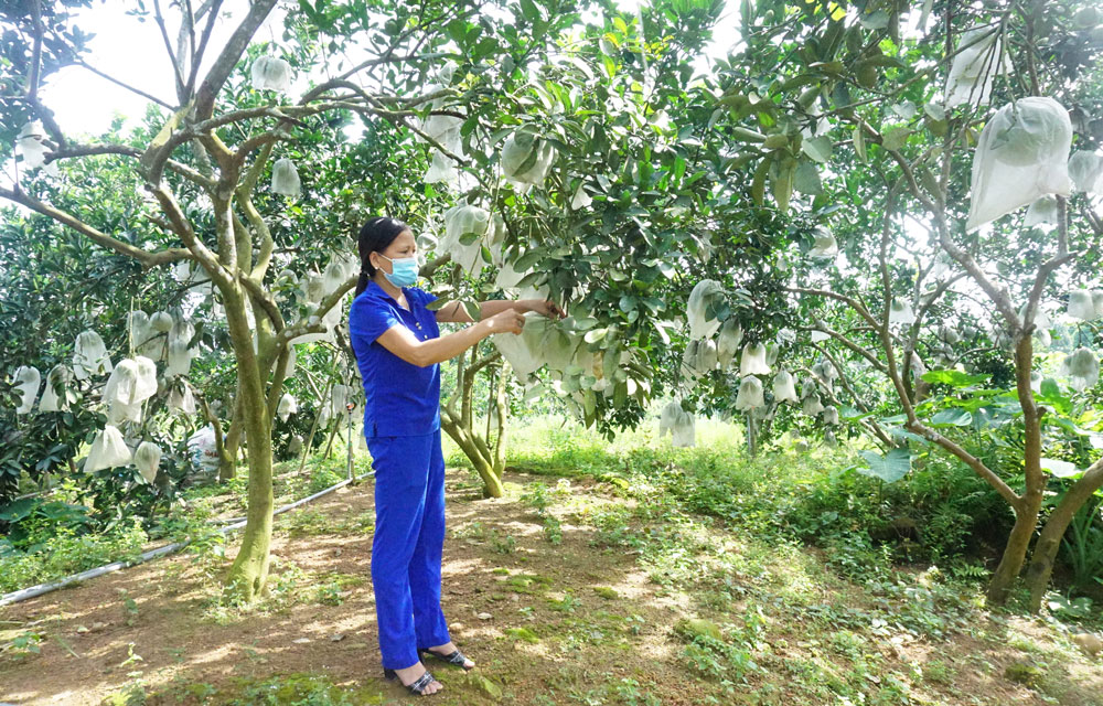 Tăng tốc để hoàn thiện tiêu chí nâng cao