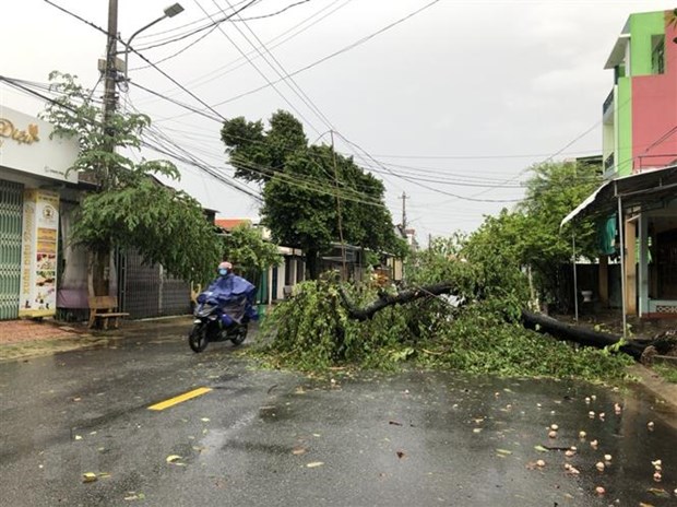 Khu vực đồng bằng và ven biển Bắc Bộ, Thanh Hóa, Nghệ An có mưa to
