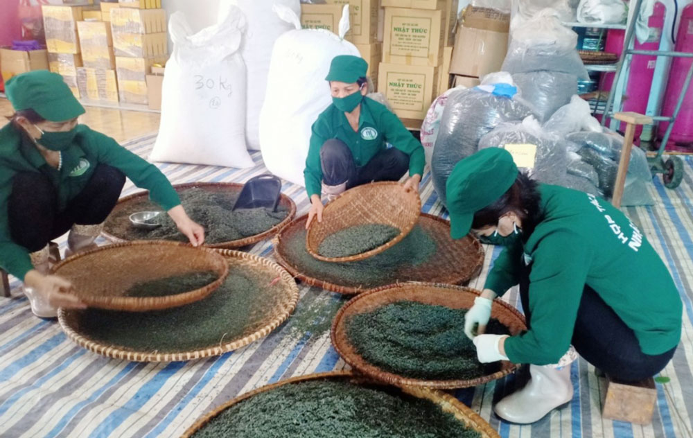 Đại Từ: 9 sản phẩm đủ điều kiện tham gia OCOP cấp tỉnh