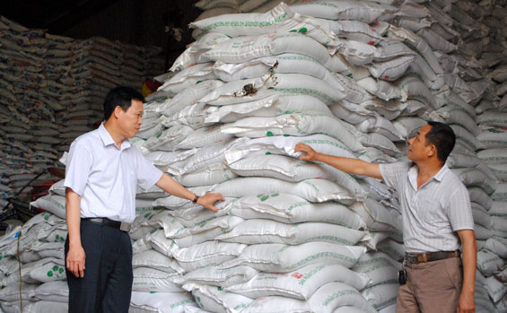 Đảm bảo cung ứng vật tư nông nghiệp cho vụ mùa