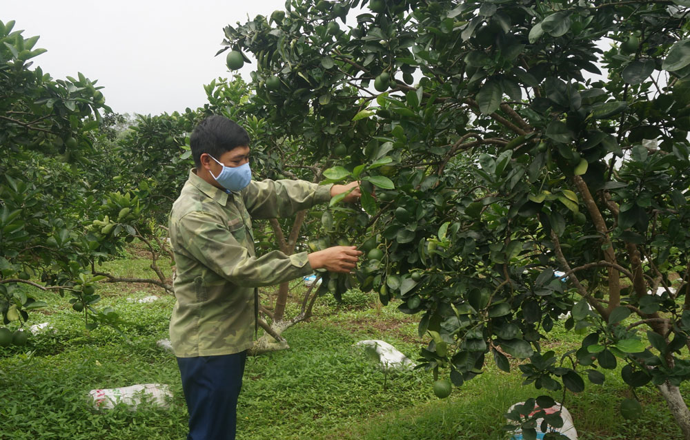 Kết quả xây dựng nông thôn mới từ học và làm theo Bác