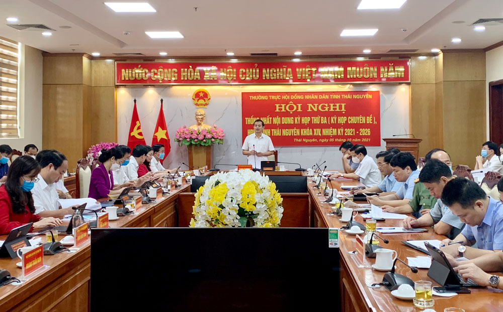 Thống nhất nội dung Kỳ họp chuyên đề HĐND tỉnh