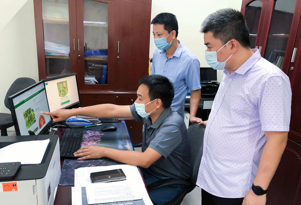 Quảng bá, tiêu thụ nông sản: Hiệu quả từ ứng dụng công nghệ số