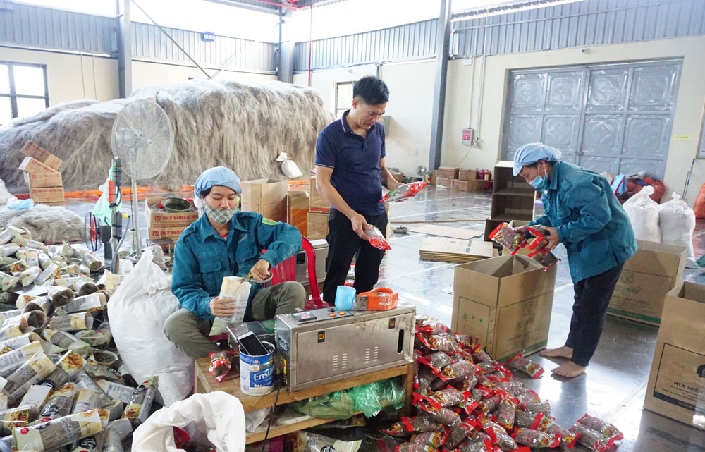 Liên kết để cùng phát triển