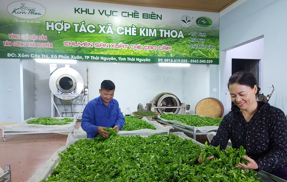 Đảng bộ T.P Thái Nguyên: Lãnh đạo thực hiện tốt các nhiệm vụ chính trị