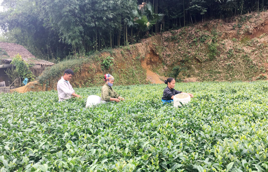 Dự kiến sáp nhập 112 xóm, tổ dân phố