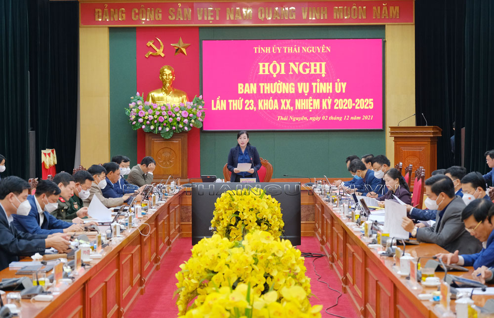 Ban Thường vụ Tỉnh uỷ cho ý kiến vào các nội dung trước khi trình HĐND tỉnh