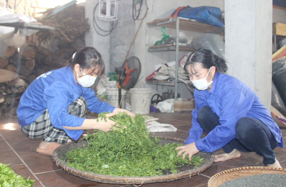 Tiếp sức cho hội viên nông dân vượt khó