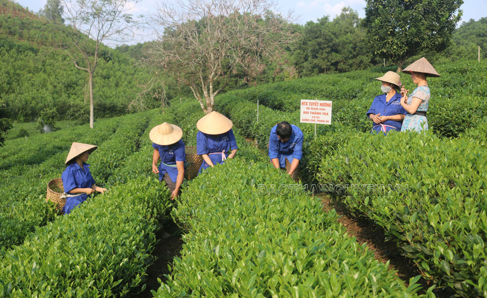Mở cơ hội cho những miền đất khó
