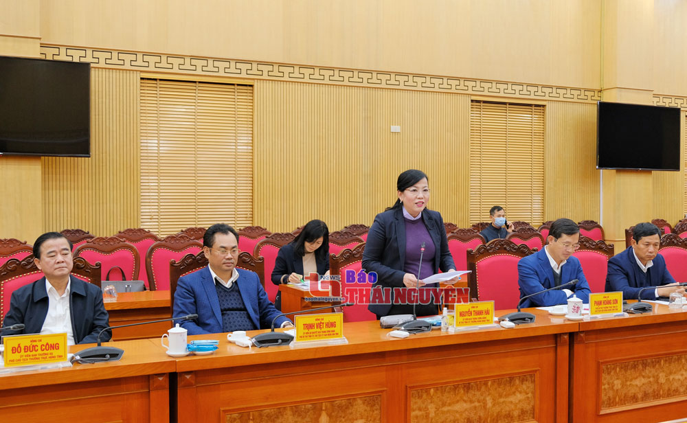Tập đoàn Him Lam nghiên cứu đề xuất dự án đầu tư tại Thái Nguyên