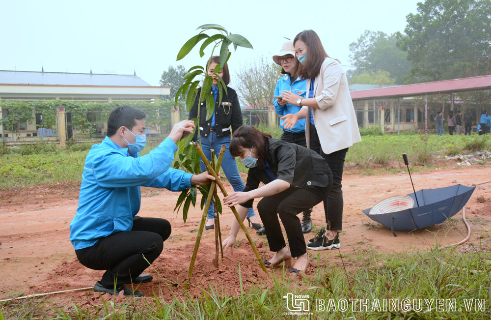 Tuổi trẻ gieo mầm xanh