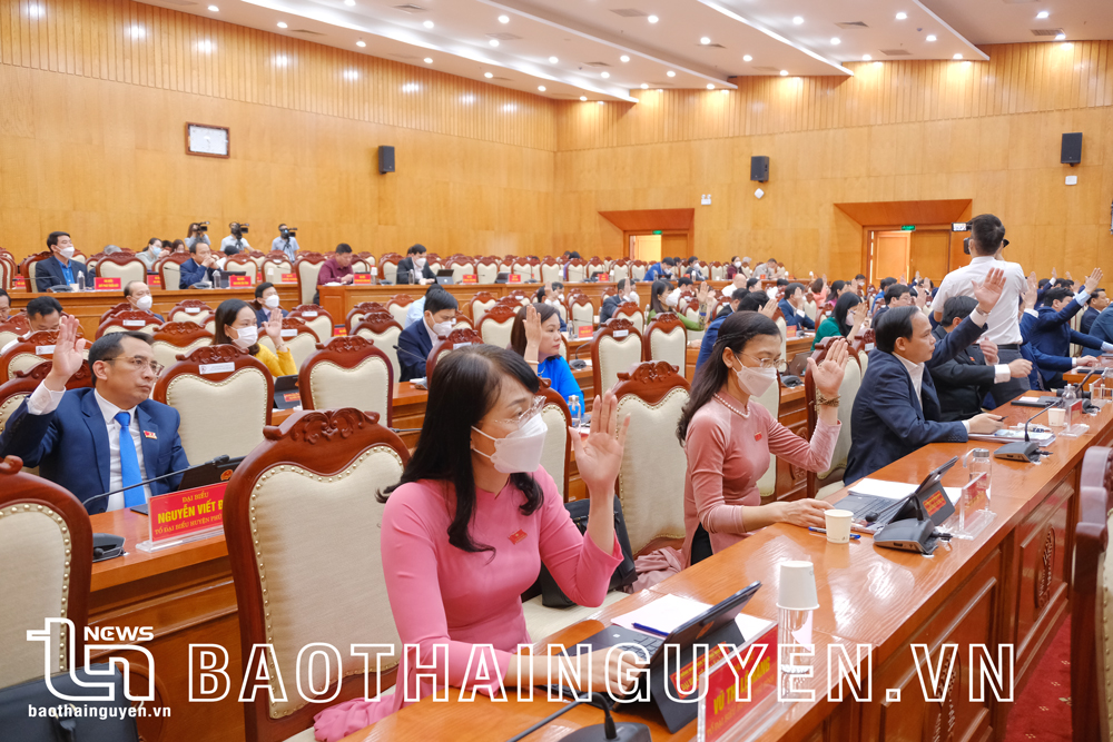 HĐND tỉnh thông qua nhiều nghị quyết về chủ trương đầu tư các dự án