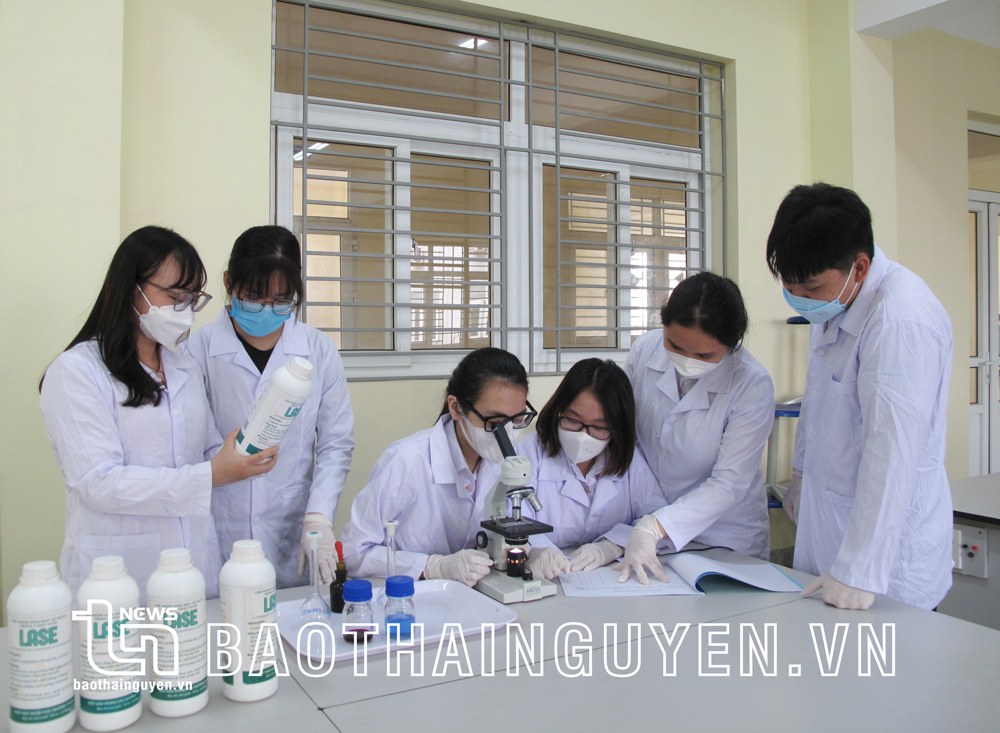 Khơi dậy nguyên khí của quốc gia