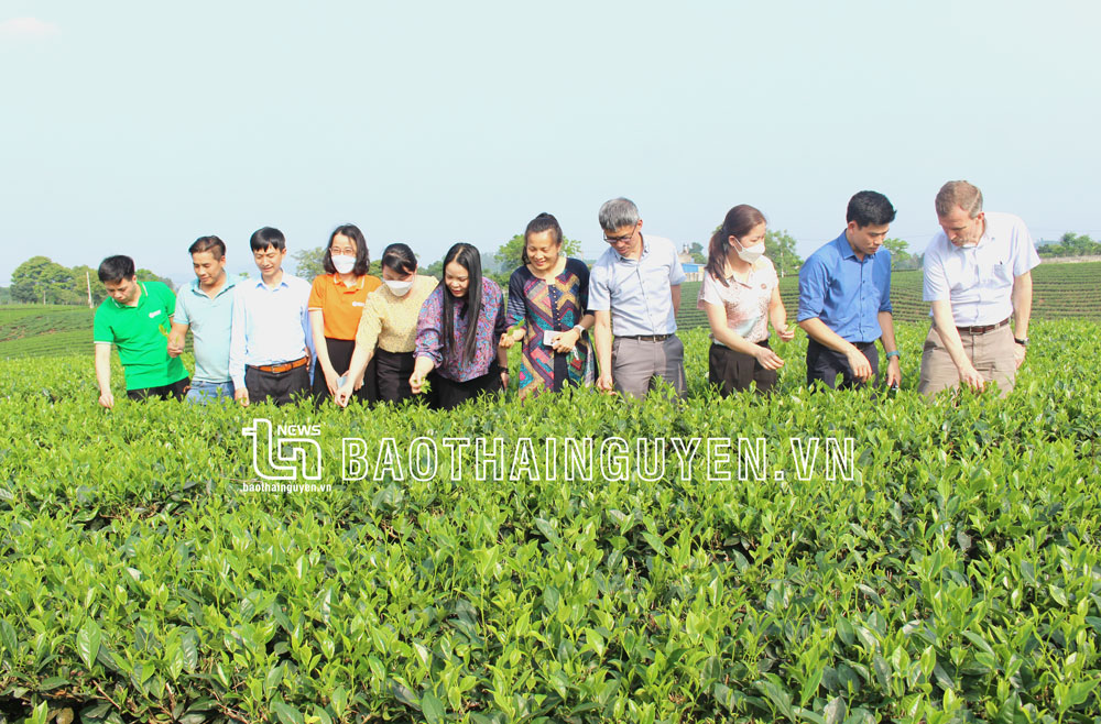 Khi nông dân làm tour