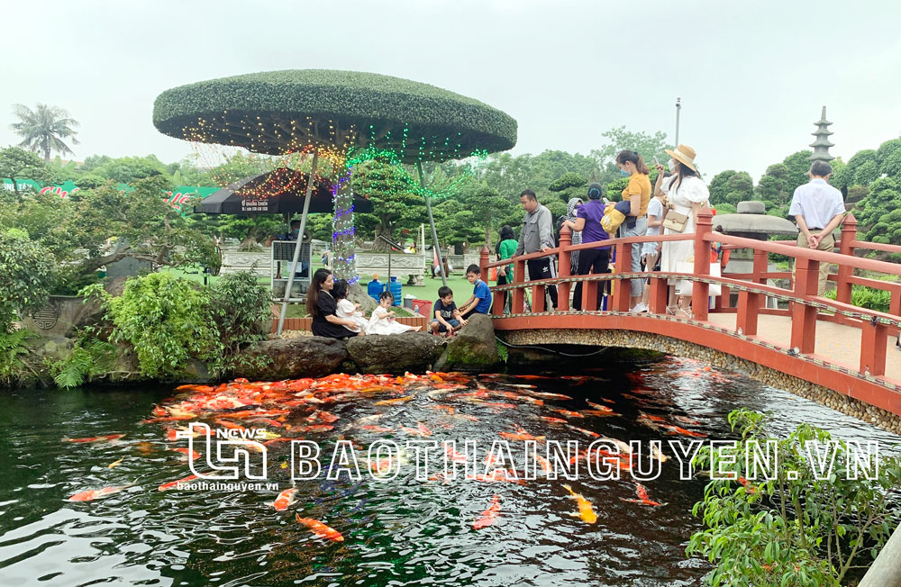 Liên kết vùng để phục hồi du lịch