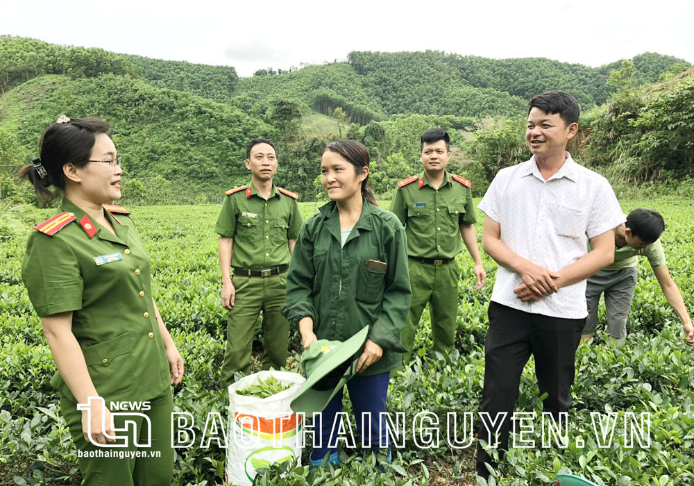 Cộng tác viên dư luận xã hội: “Tai, mắt” của cấp ủy