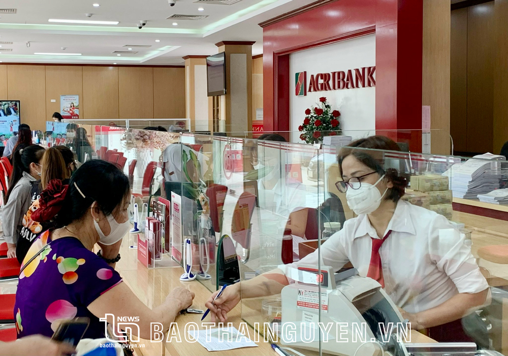Nhiều giải pháp 