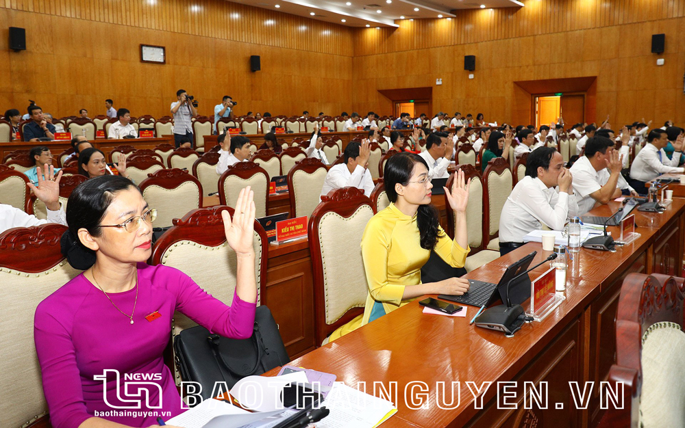 HĐND tỉnh: Thông qua nhiều nghị quyết về phát triển kinh tế - xã hội hậu COVID-19
