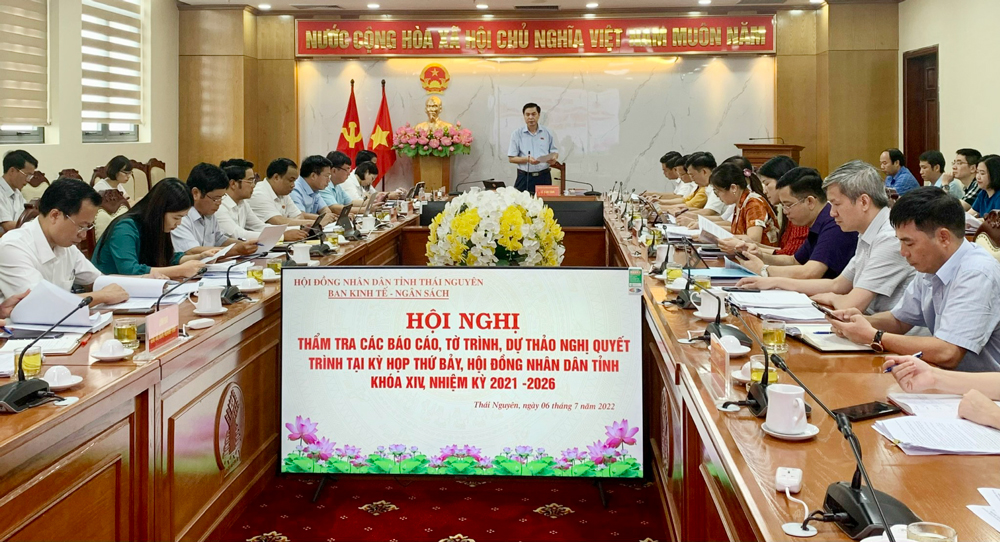 Thẩm tra các nội dung trình tại Kỳ họp thứ 7 HĐND tỉnh