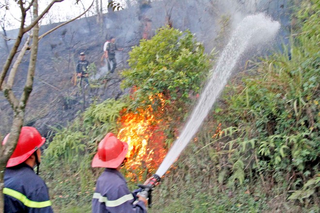 Rừng phòng hộ ở Điện Biên bốc cháy dữ dội trong gần 3 ngày