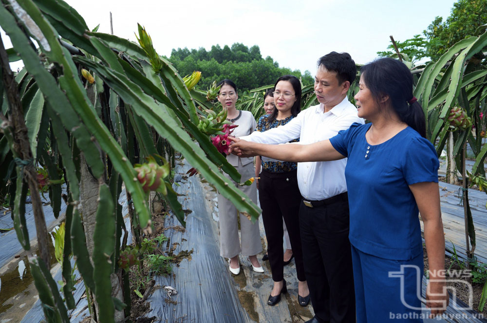 Sức bật “tam nông” ở thành phố công nghiệp, kỳ I: Ý Đảng hợp lòng dân