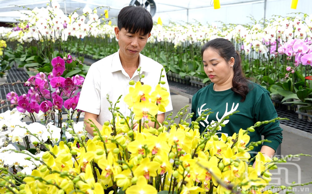 Sức bật “tam nông” ở thành phố công nghiệp, Kỳ II: Hướng tới nền nông nghiệp đô thị