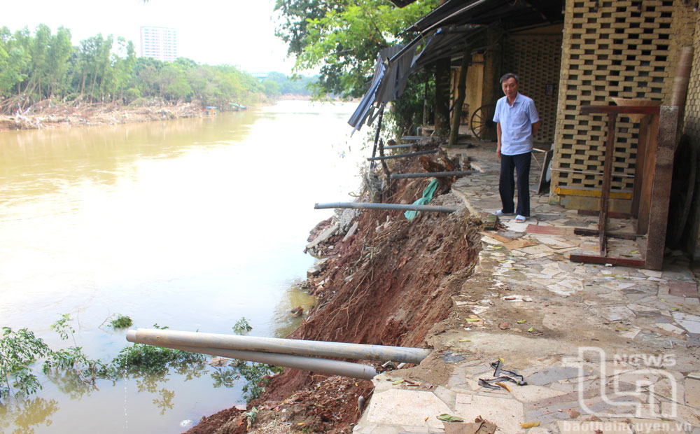 Khẩn trương gia cố điểm sạt lở bờ sông gần cầu Gia Bẩy