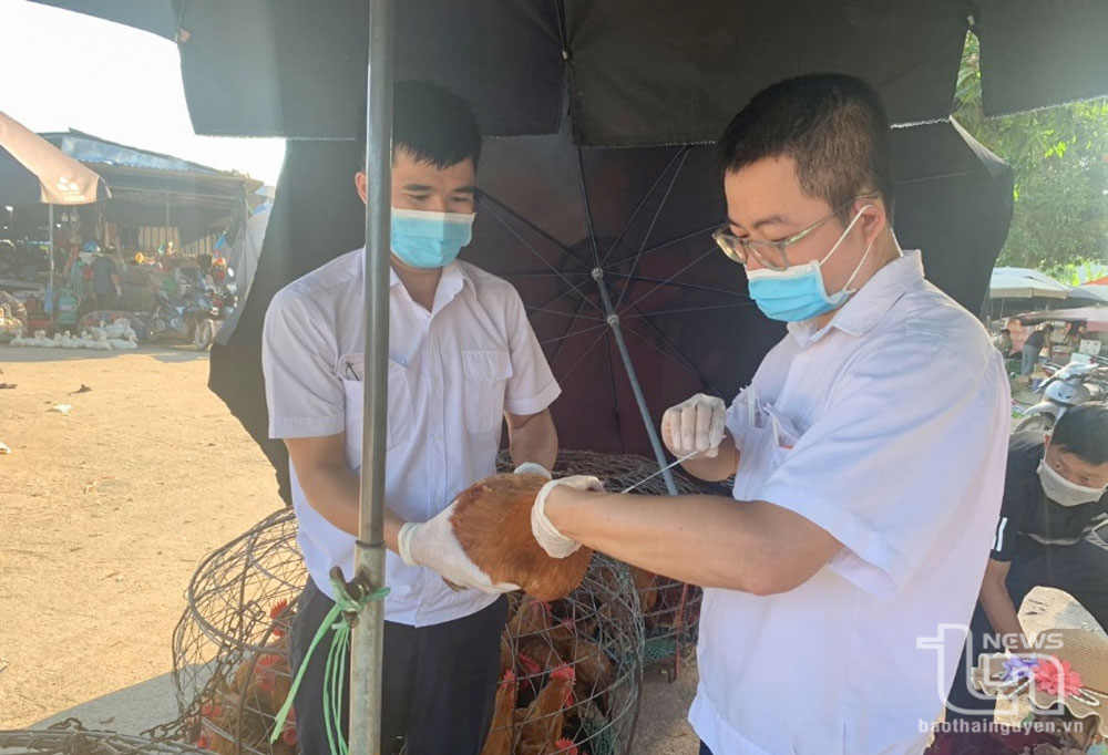 Quản lý chặt chẽ cơ sở giết mổ động vật