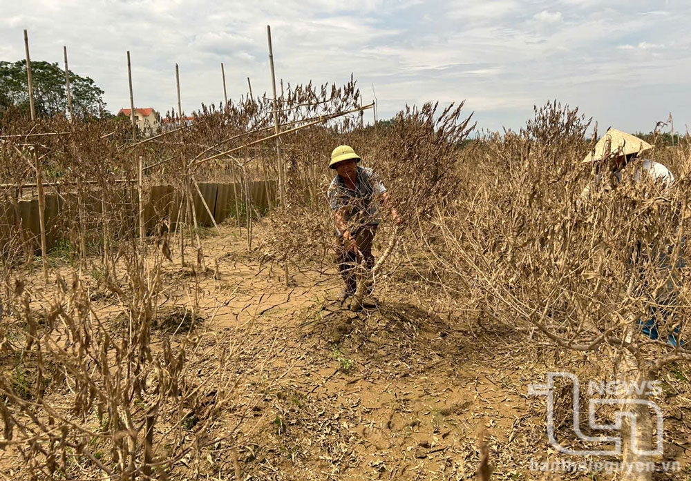 TP. Thái Nguyên: Trên 6.100 khách hàng được vay vốn chính sách