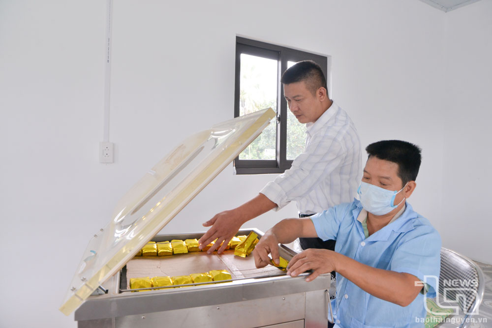 Nỗ lực vượt khó, nâng cao chất lượng sản phẩm