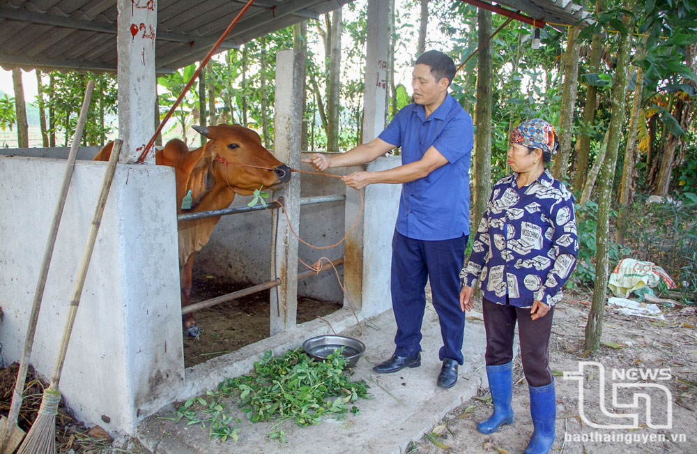 Đẩy mạnh chuyển giao kỹ thuật sản xuất cho hộ nghèo